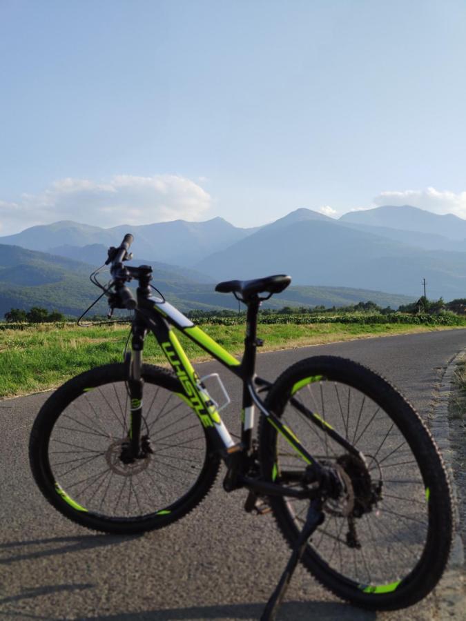 Horace Guesthouse Pool & Hot Tub & Bikes & River Dejani Екстериор снимка
