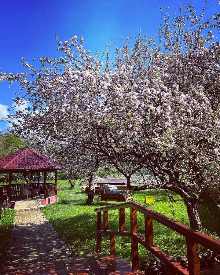 Horace Guesthouse Pool & Hot Tub & Bikes & River Dejani Екстериор снимка